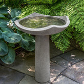 Photo of Campania Oslo Birdbath Large - Exclusively Campania
